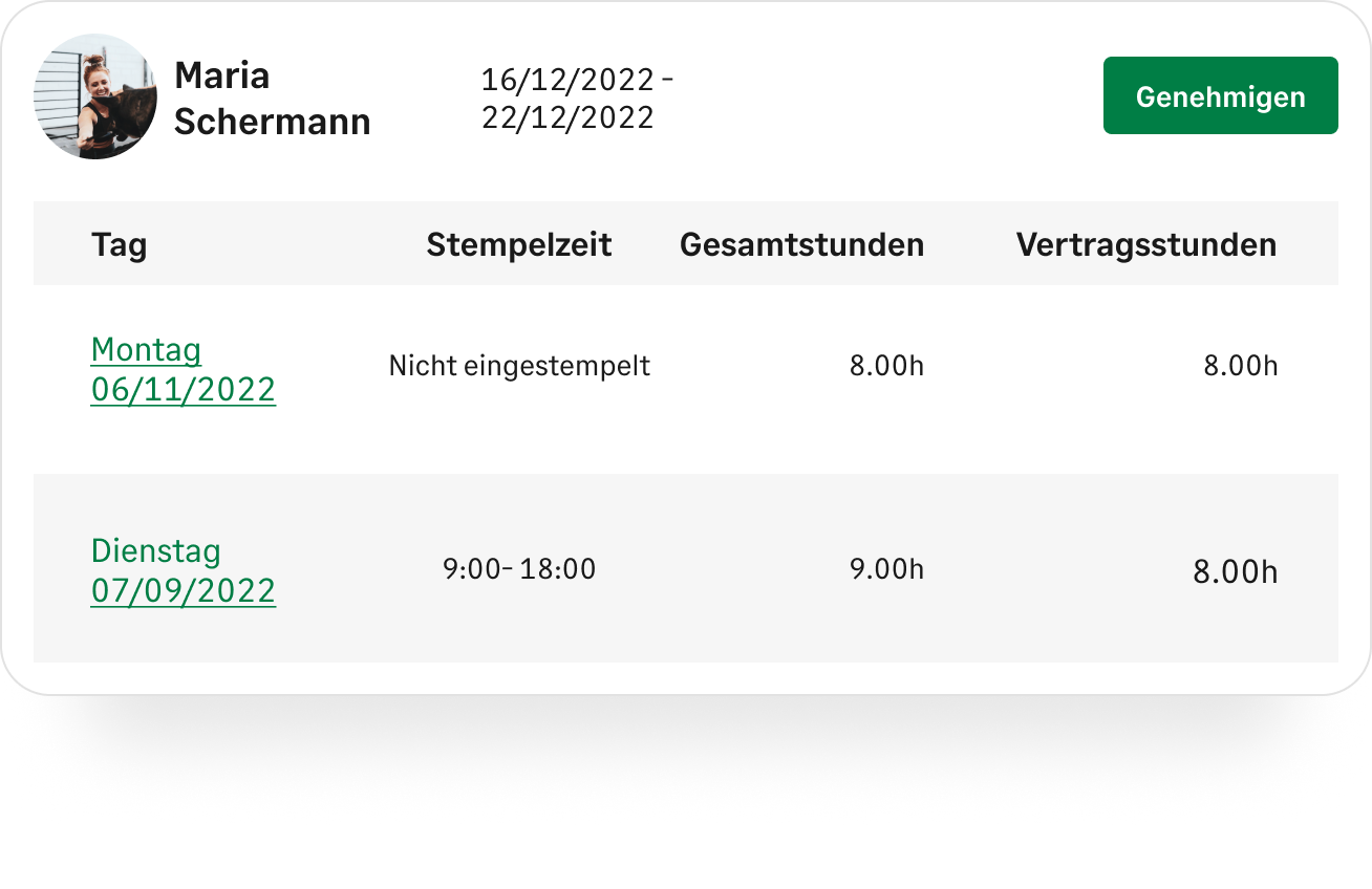 HR-business-cloud-timesheet-comp-2-S-1895-DE