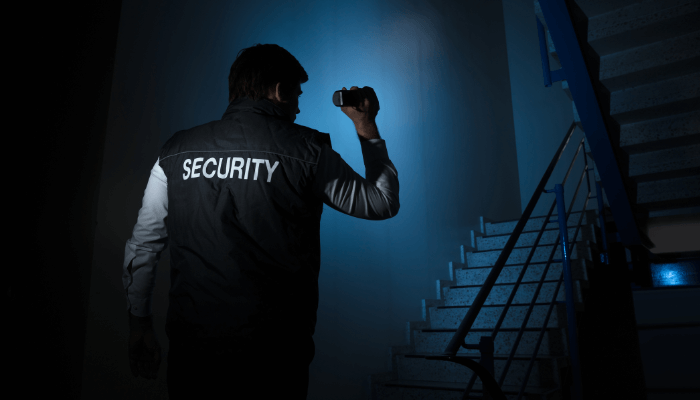 WSD permanent security GmbH