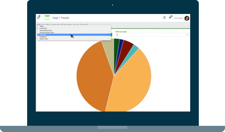 laptop screenshot of Sage People real-time insights pie chart reporting