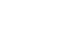  LPGA logo