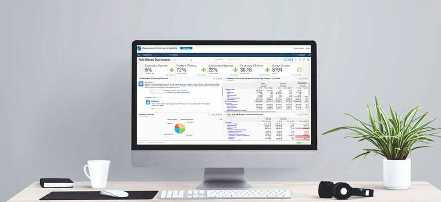 Sage Not For Profit Screenshot on Desktop