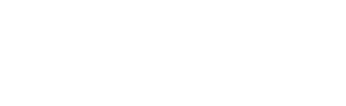  FLS Transport