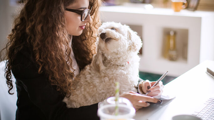 Stylish brunette working from home in her home office and holding her dog in her lap.