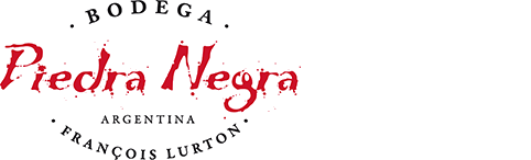 Bodega Piedra Negra
