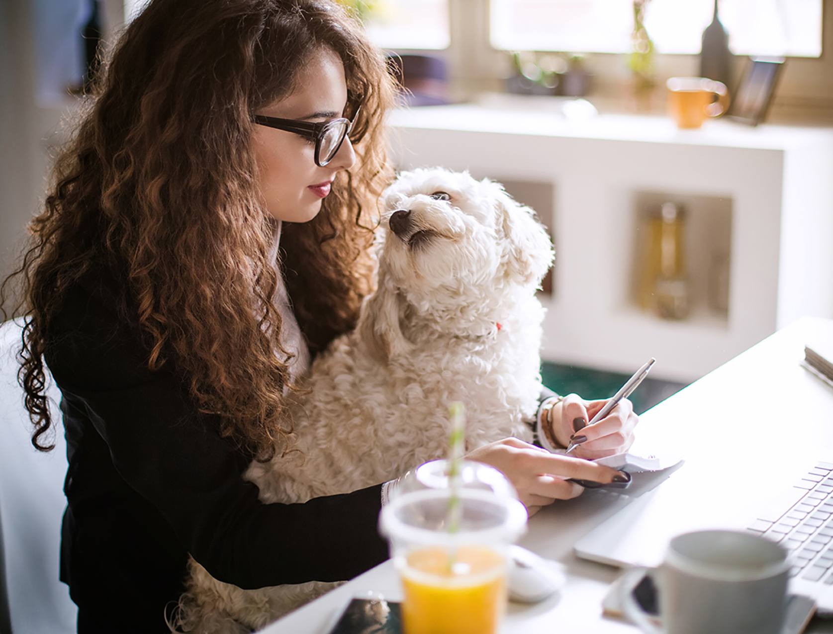 Une femme en train de travailler sur son ordinateur chez elle avec son chien