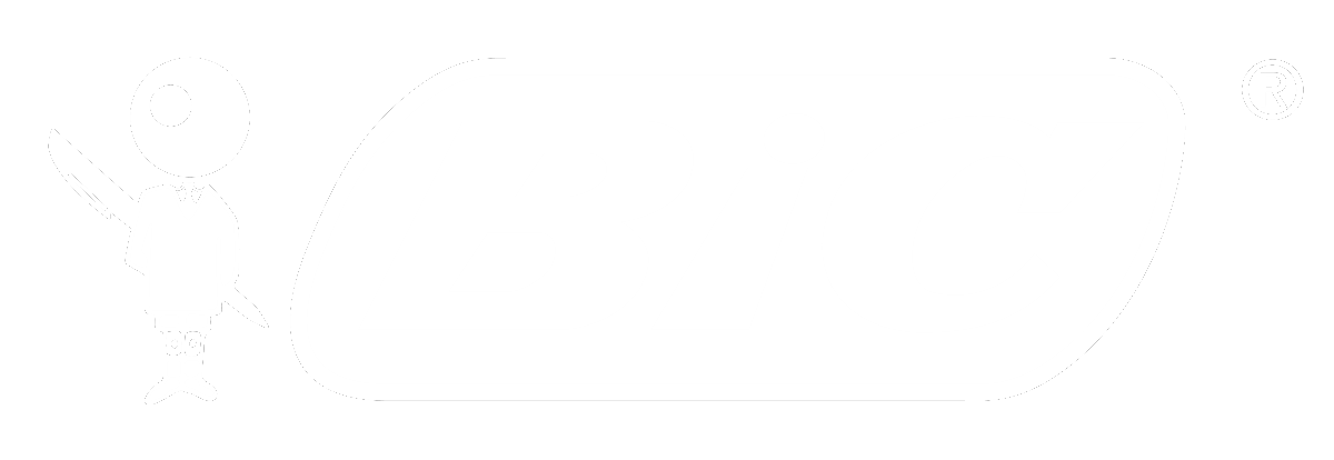 BIC