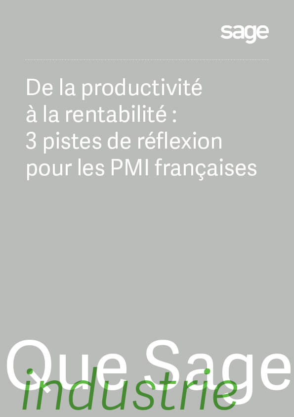 Vignette du guide De la productivité à la rentabilité : 3 pistes de réflexion pour les PMI françaises