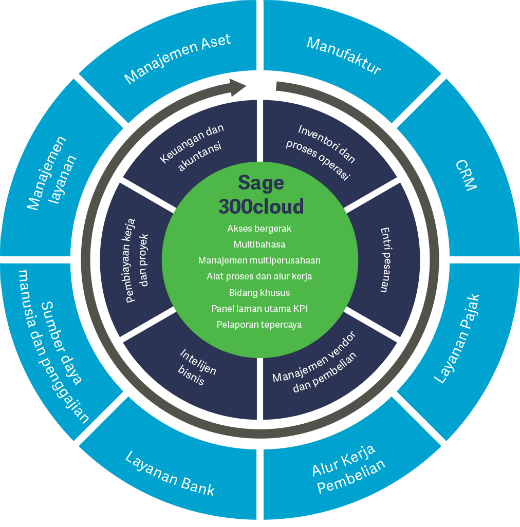 BMS Sage300cloud Indepth